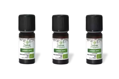 PACK DE 3 x Lavande aspic - Huile essentielle bio - 10 ml