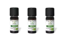 PACK DE 3 x Lavande aspic - Huile essentielle bio - 10 ml