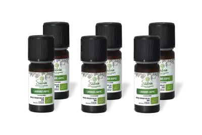 PACK DE 6 x Lavande aspic - Huile essentielle bio - 10 ml
