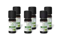 PACK DE 6 x Lavande aspic - Huile essentielle bio - 10 ml