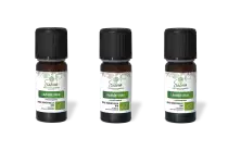 PACK DE 3 x Lavande vraie - Huile essentielle bio - 10 ml