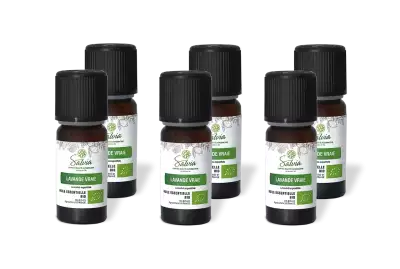PACK DE 6 x Lavande vraie - Huile essentielle bio - 10 ml