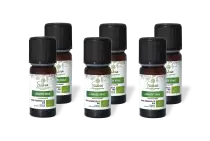 PACK DE 6 x Lavande vraie - Huile essentielle bio - 10 ml