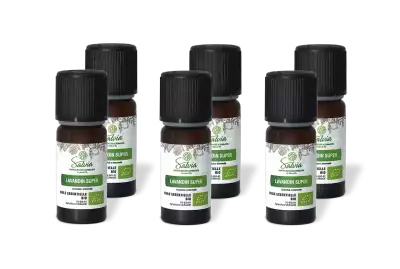 PACK DE 6 x Lavandin super - Huile essentielle bio - 10 ml