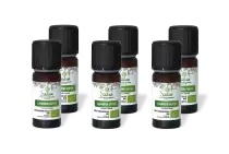 PACK DE 6 x Lavandin super - Huile essentielle bio - 10 ml