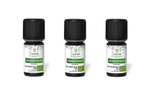 PACK DE 3 x Lentisque pistachier - Huile essentielle bio - 5 ml