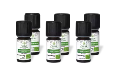 PACK DE 6 x Lentisque pistachier - Huile essentielle bio - 5 ml