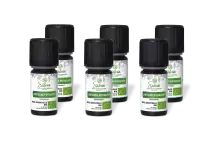 PACK DE 6 x Lentisque pistachier - Huile essentielle bio - 5 ml