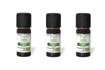 PACK DE 3 x Mandarine verte - Huile essentielle bio - 10 ml