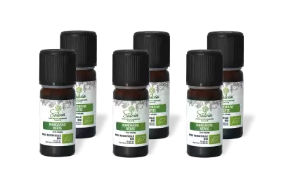 PACK DE 6 x Mandarine verte - Huile essentielle bio - 10 ml