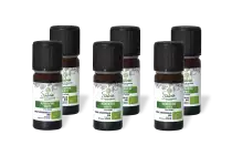 PACK DE 6 x Mandarine verte - Huile essentielle bio - 10 ml