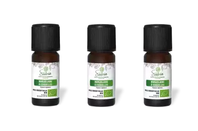 PACK DE 3 x Marjolaine � coquilles - Huile essentielle bio - 10 ml
