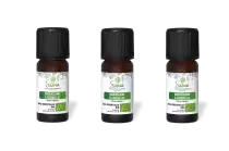 PACK DE 3 x Marjolaine à coquilles - Huile essentielle bio - 10 ml