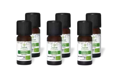 PACK DE 6 x Marjolaine � coquilles - Huile essentielle bio - 10 ml