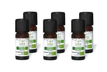 PACK DE 6 x Marjolaine à coquilles - Huile essentielle bio - 10 ml