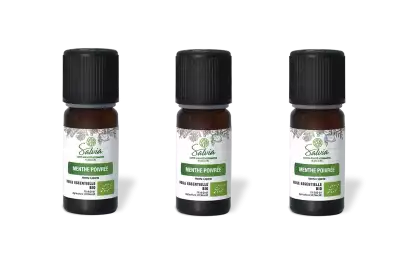 PACK DE 3 x Menthe poivr�e - Huile essentielle bio - 10 ml