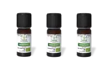 PACK DE 3 x Menthe poivrée - Huile essentielle bio - 10 ml