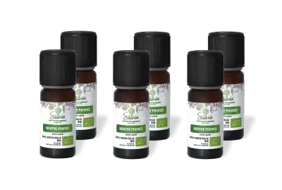 PACK DE 6 x Menthe poivr�e - Huile essentielle bio - 10 ml