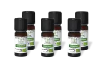 PACK DE 6 x Menthe poivrée - Huile essentielle bio - 10 ml