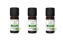 PACK DE 3 x Menthe verte - Huile essentielle bio - 10 ml