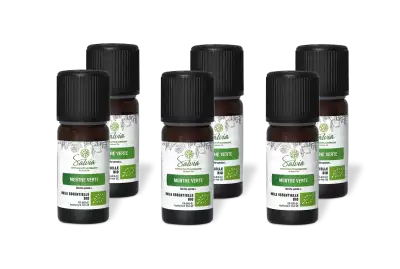 PACK DE 6 x Menthe verte - Huile essentielle bio - 10 ml