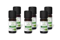PACK DE 6 x Menthe verte - Huile essentielle bio - 10 ml