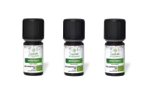 PACK DE 3 x Myrte - Huile essentielle bio - 5 ml