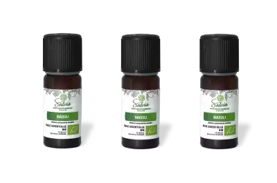 PACK DE 3 x Niaouli - Huile essentielle bio - 10 ml