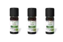 PACK DE 3 x Niaouli - Huile essentielle bio - 10 ml