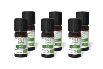 PACK DE 6 x Niaouli - Huile essentielle bio - 10 ml