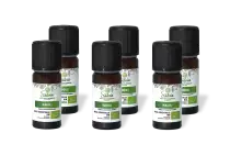 PACK DE 6 x Niaouli - Huile essentielle bio - 10 ml