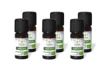 PACK DE 6 x Orange douce - Huile essentielle bio - 10 ml