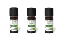 PACK DE 3 x Origan - Huile essentielle bio - 10 ml