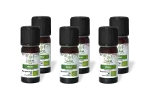 PACK DE 6 x Origan - Huile essentielle bio - 10 ml