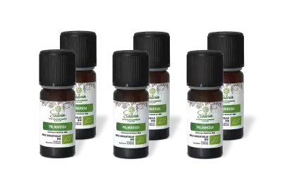 PACK DE 6 x Palmarosa - Huile essentielle bio - 10 ml