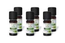 PACK DE 6 x Palmarosa - Huile essentielle bio - 10 ml