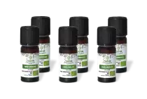 PACK DE 6 x Pamplemousse - Huile essentielle bio - 10 ml