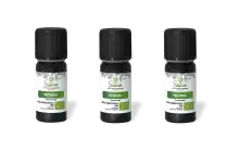 PACK DE 3 x Patchouli - Huile essentielle bio - 10 ml
