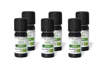 PACK DE 6 x Patchouli - Huile essentielle bio - 10 ml