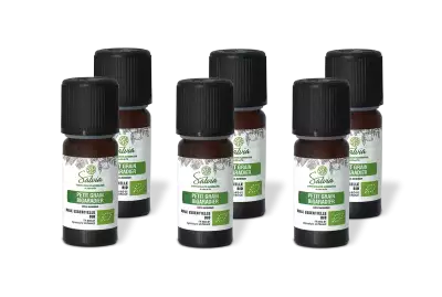 PACK DE 6 x Petit grain bigaradier - Huile essentielle bio - 10 ml