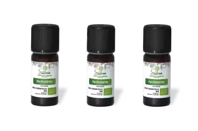PACK DE 3 x Pin sylvestre - Huile essentielle bio - 10 ml
