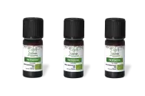 PACK DE 3 x Pin sylvestre - Huile essentielle bio - 10 ml