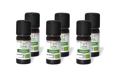 PACK DE 6 x Pin sylvestre - Huile essentielle bio - 10 ml