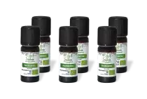 PACK DE 6 x Pin sylvestre - Huile essentielle bio - 10 ml