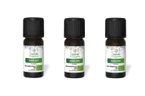 PACK DE 3 x Poivre noir - Huile essentielle bio - 10 ml