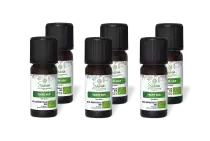 PACK DE 6 x Poivre noir - Huile essentielle bio - 10 ml