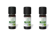 PACK DE 3 x Ravintsara - Huile essentielle bio - 10 ml