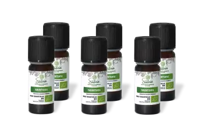 PACK DE 6 x Ravintsara - Huile essentielle bio - 10 ml