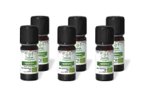 PACK DE 6 x Ravintsara - Huile essentielle bio - 10 ml