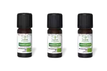 PACK DE 3 x Romarin à camphre - Huile essentielle bio - 10 ml